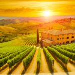 Degustazioni e Abbinamenti: Come Apprezzare al Meglio i Vini Toscani