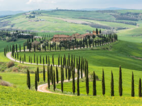 Esperienze Enogastronomiche in Toscana: Gusta la Val d’Orcia