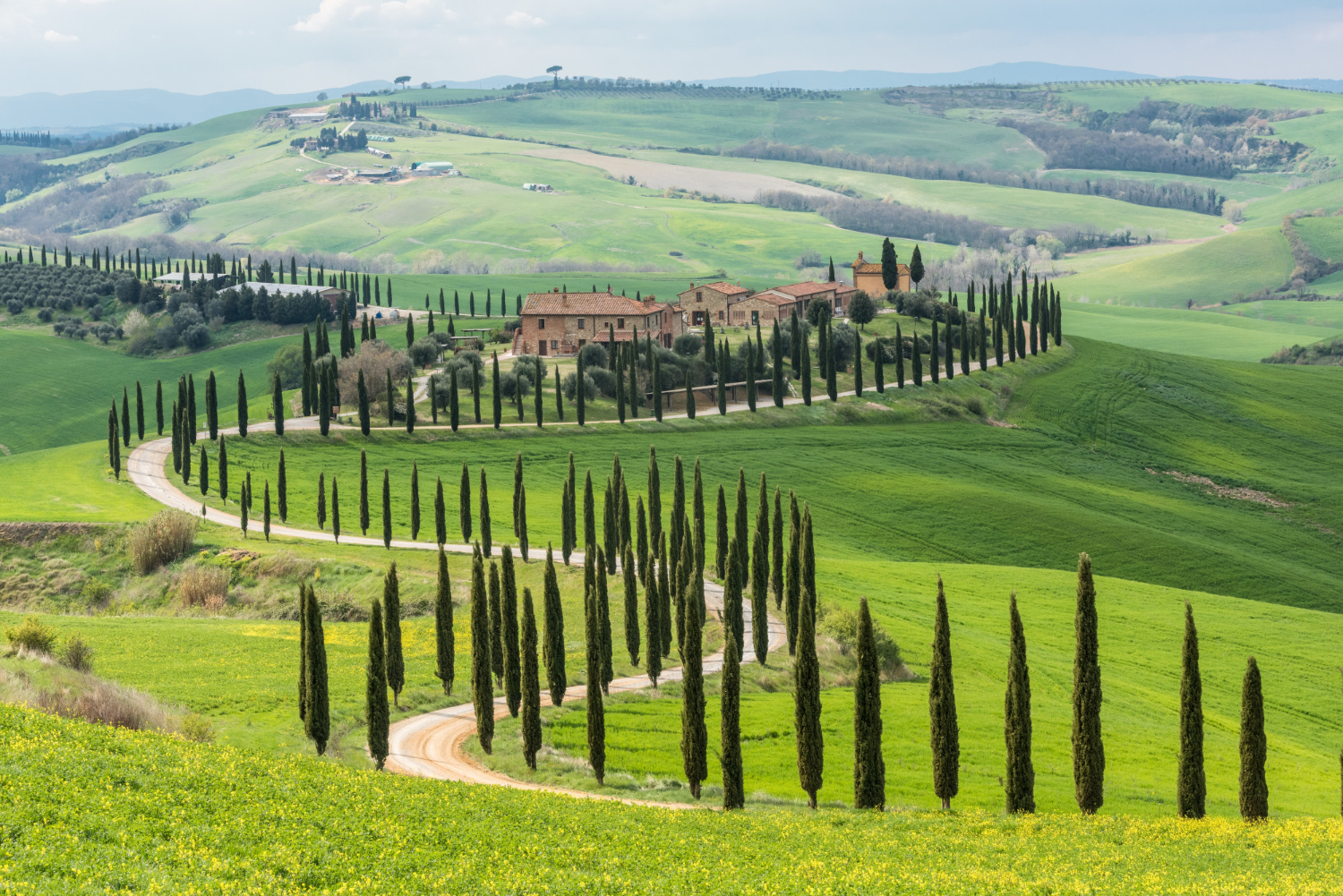 Esperienze Enogastronomiche in Toscana: Gusta la Val d’Orcia