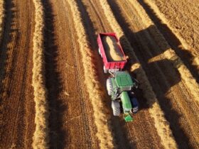 Noleggio trattori Siena: come scegliere la soluzione più vantaggiosa per la tua azienda agricola