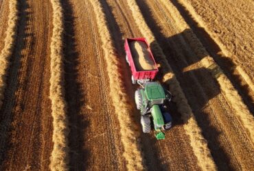 Noleggio trattori Siena: come scegliere la soluzione più vantaggiosa per la tua azienda agricola