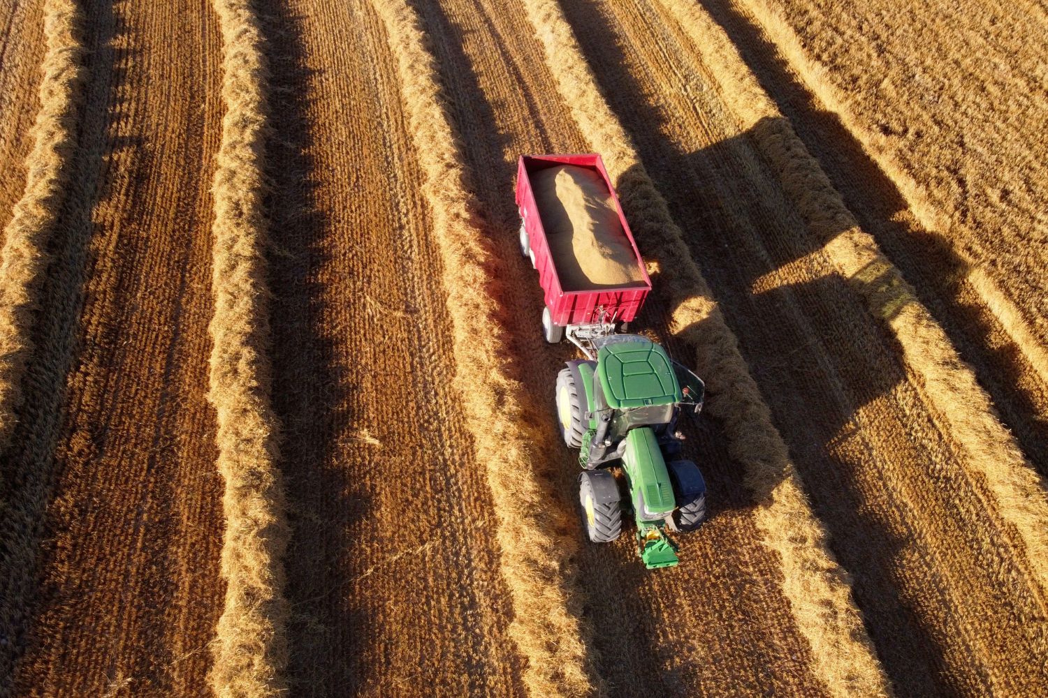 Noleggio trattori Siena: come scegliere la soluzione più vantaggiosa per la tua azienda agricola
