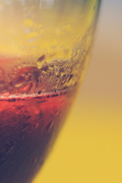 Fermentazione alcolica controllata: parametri critici e applicazioni pratiche