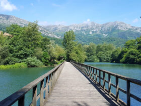 Quad tour per gruppi